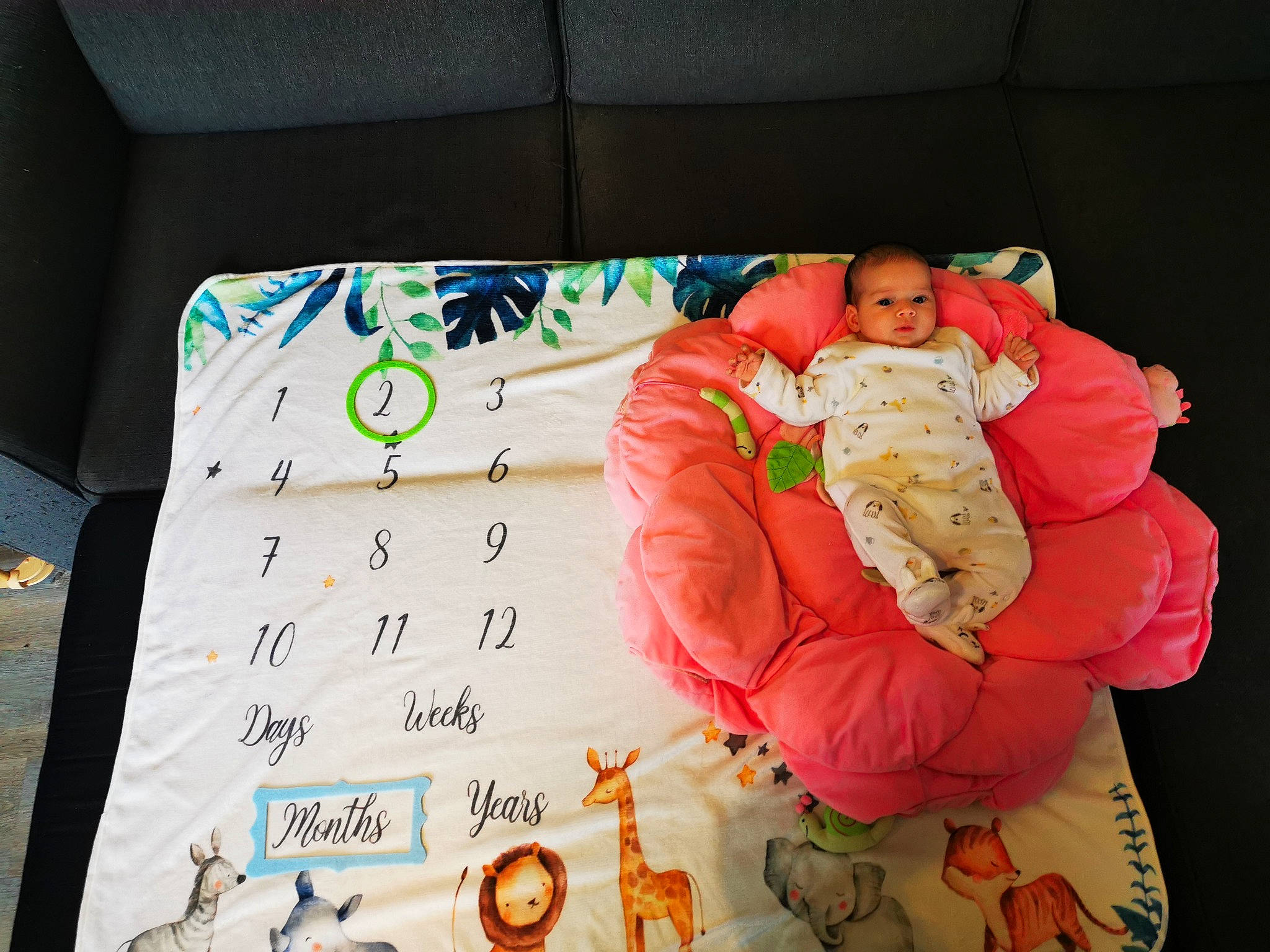Elise participe au concours pour gagner de l'argent avec cette photo : baby, baby_products, baby_sleeping, baby_toddler_clothing, child, comfort, couch, event, font, linens, mammal, person, pillow, product, rectangle, room, sleeve, textile, throw_pillow, toddler