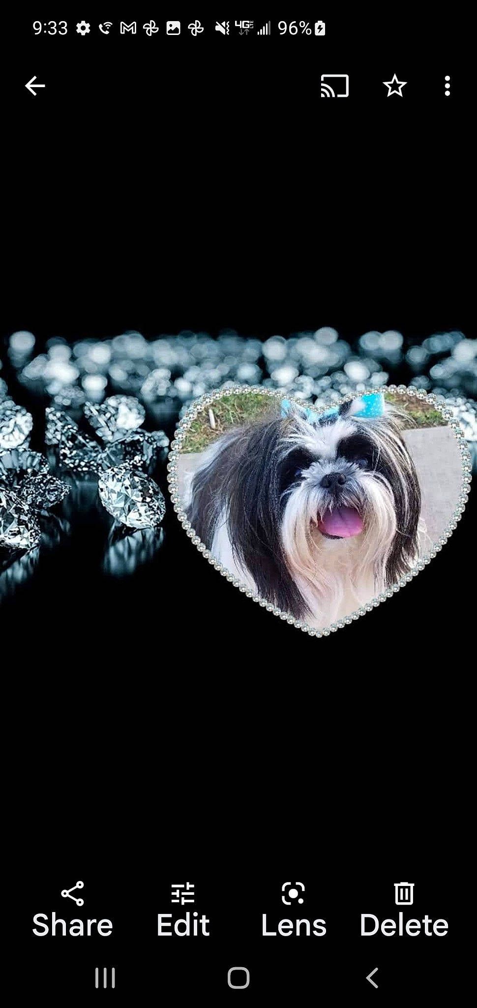 Mia is registered to the contest to win money with this photo: carnivore, close_up, companion_dog, darkness, dog, dog_breed, fashion_accessory, fictional_character, fur, jewellery, macro_photography, non_sporting_group, sky, small_terrier, snout, terrier, toy_dog, whiskers, wildlife