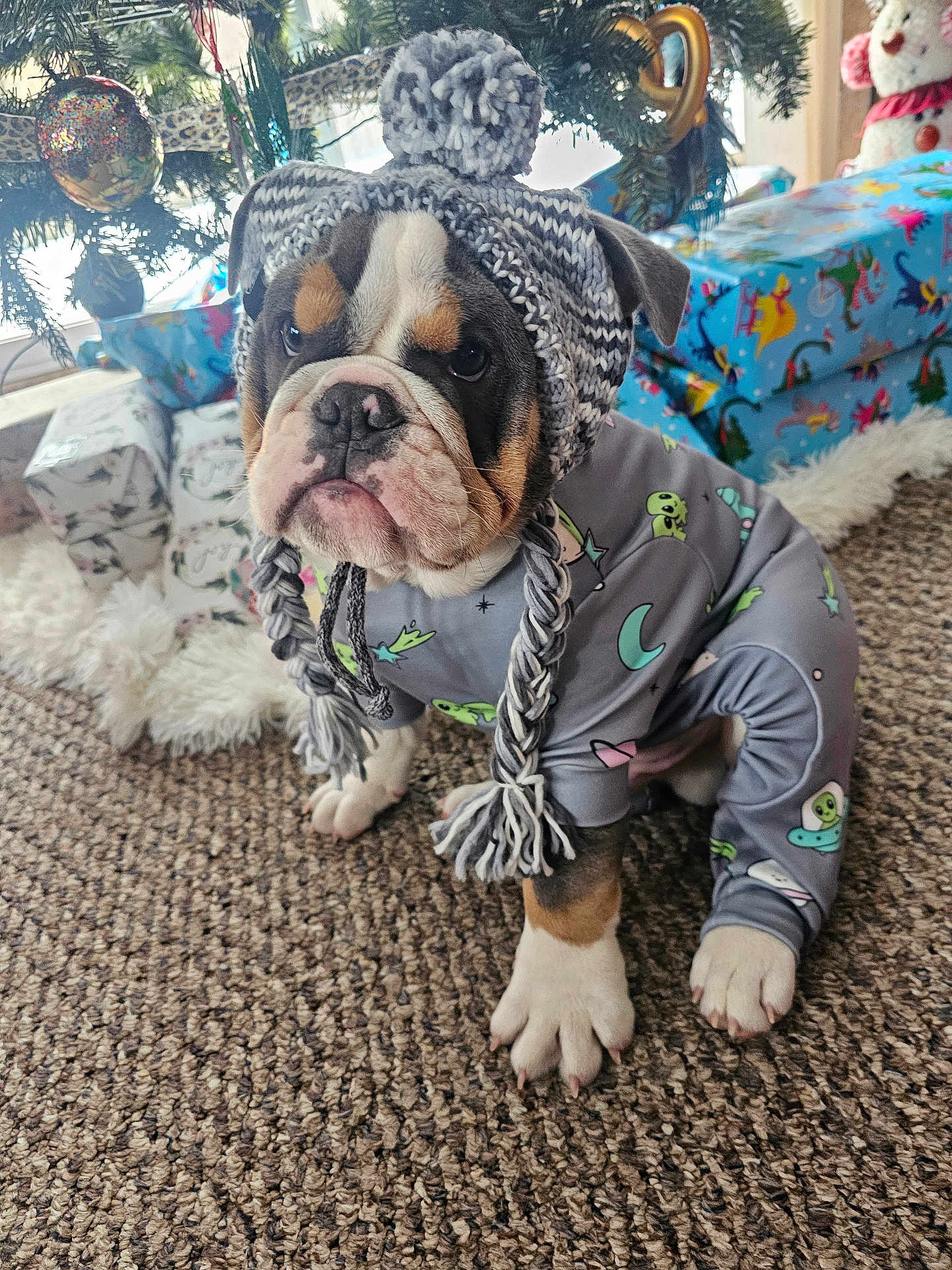Baddest Bodacious joined the competition — help win amazing prizes! bulldog, puppy, dog, hat, knitted_hat, pajamas, space_theme, pom_pom, carpet, christmas_tree, ornaments, presents, wrapped_gifts, holiday, indoor, pet, cute, animal, decorations, floor