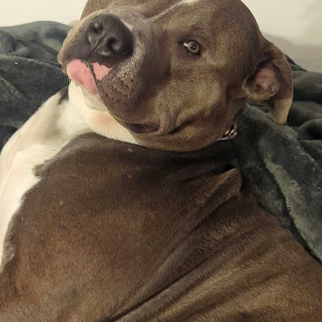 Kilo