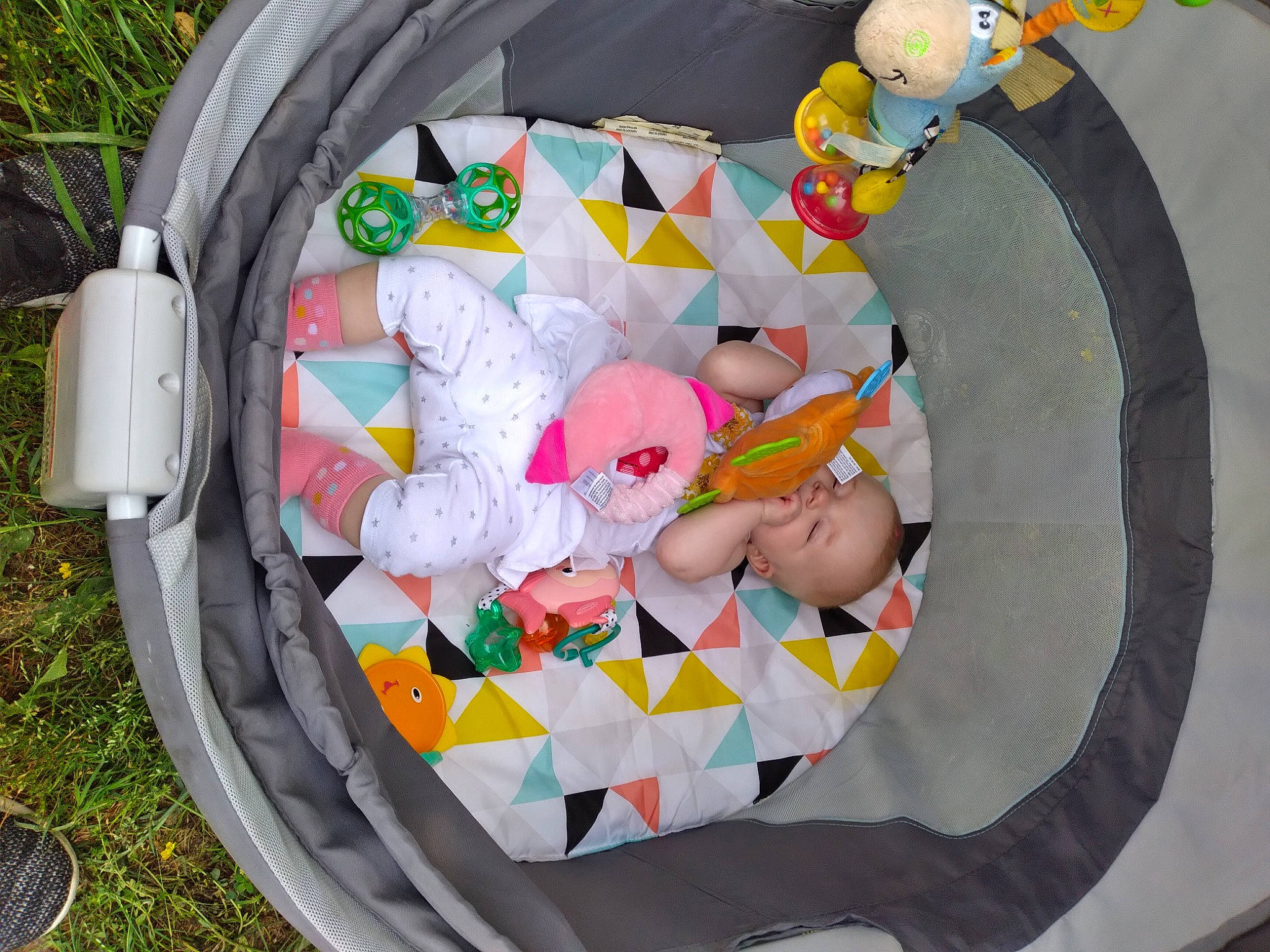 Kinzley is registered to the contest to win money with this photo: baby, baby_products, baby_toddler_clothing, baby_toys, child, circle, comfort, event, fictional_character, grass, lap, leisure, linens, pattern, person, plant, play, recreation, sitting, toddler