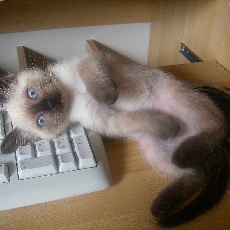 Bianca a rejoint le concours — aidez-le/la à gagner de superbes lots !