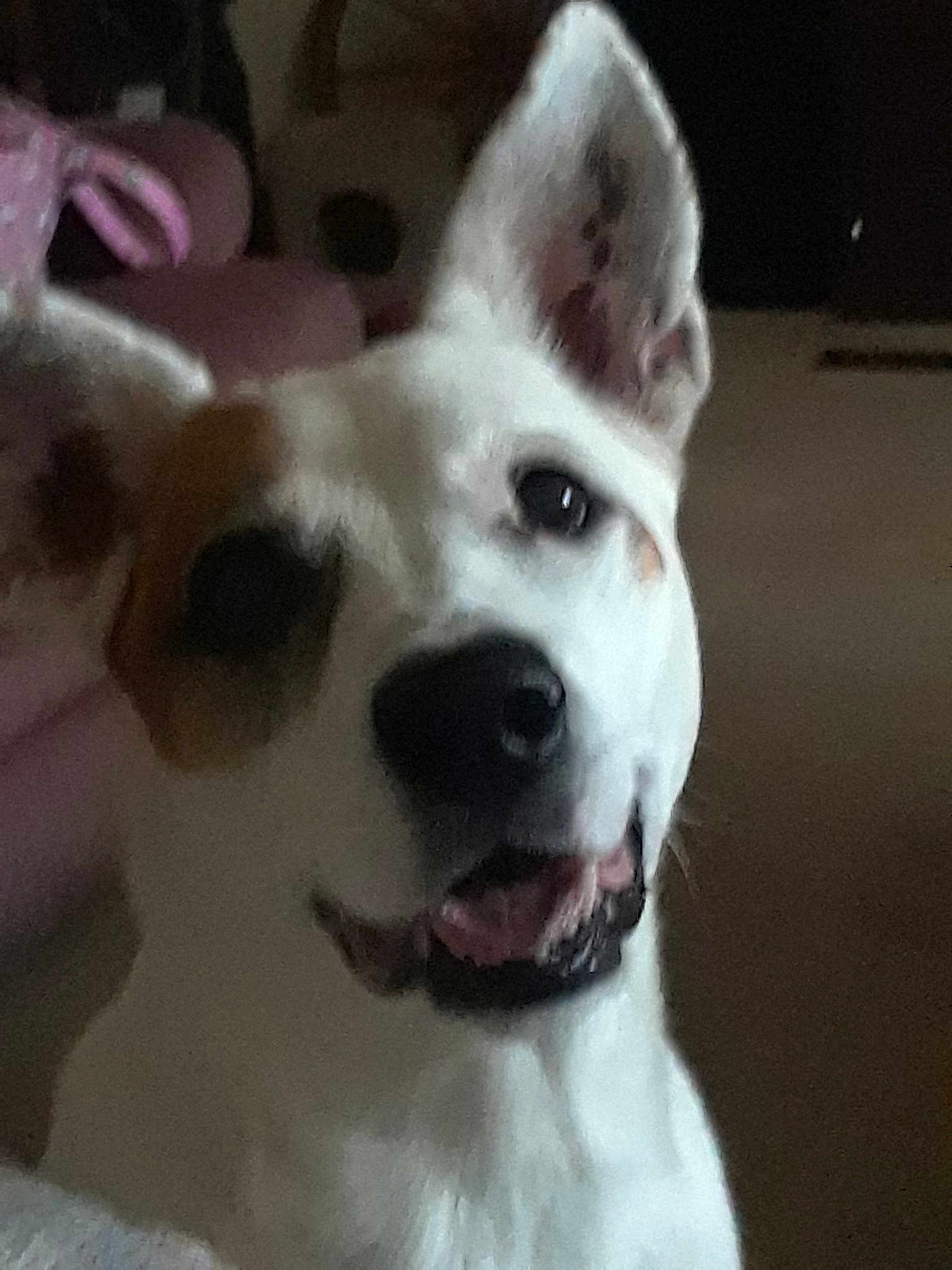 Kira