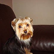 Jade a rejoint le concours — aidez-le/la à gagner de superbes lots !