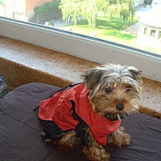 Jade participe au concours pour gagner de l'argent avec cette photo :