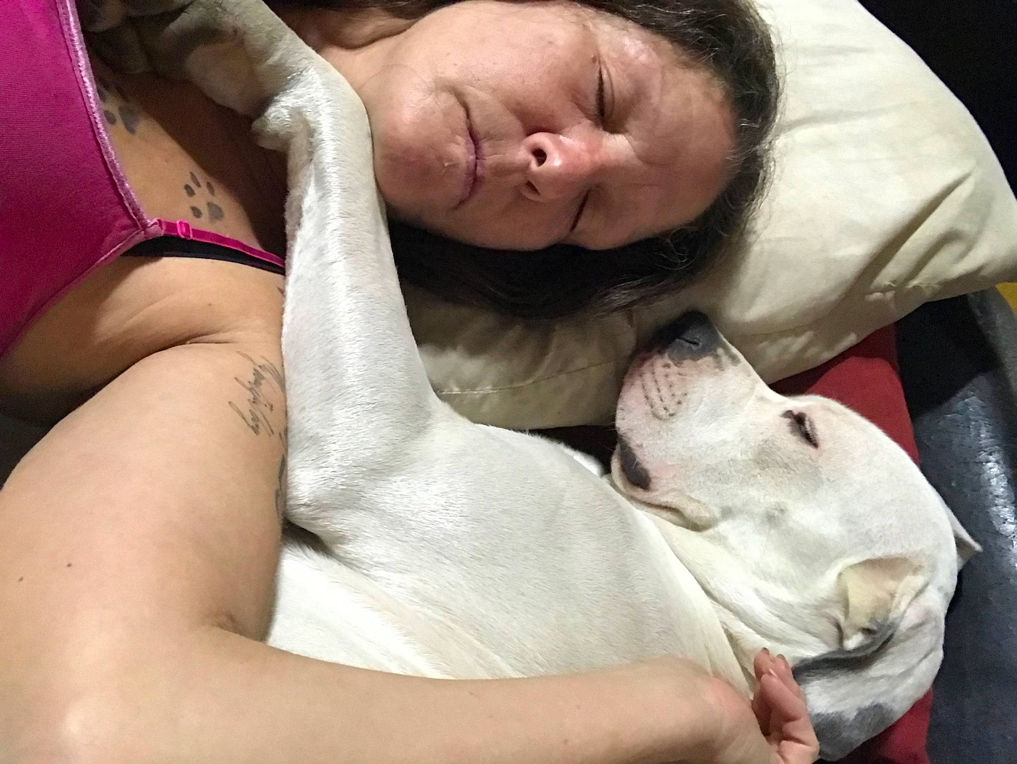 Arctica is registered to the contest to win money with this photo: abdomen, brown_hair, chest, child, comfort, companion_dog, elbow, eyelash, felidae, gesture, happy, human_leg, linens, mouth, nail, neck, skin, thigh, trunk, wrist