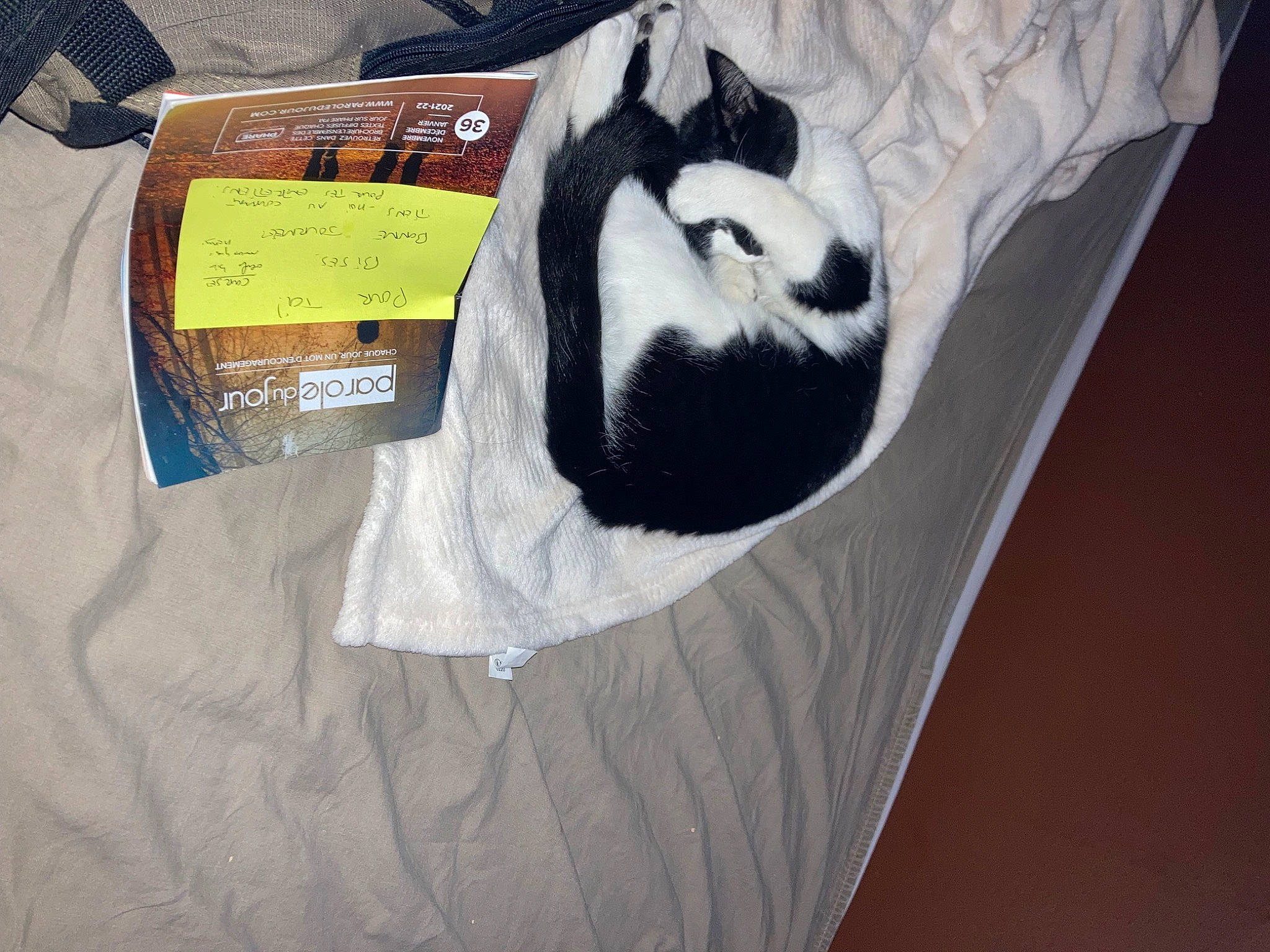 Symphonie a rejoint le concours — aidez-le/la à gagner de superbes lots ! bag, carmine, comfort_food, font, fur, linens, package_delivery, packaging_and_labeling, paper, paper_product, pattern, sleeve, t_shirt, tail