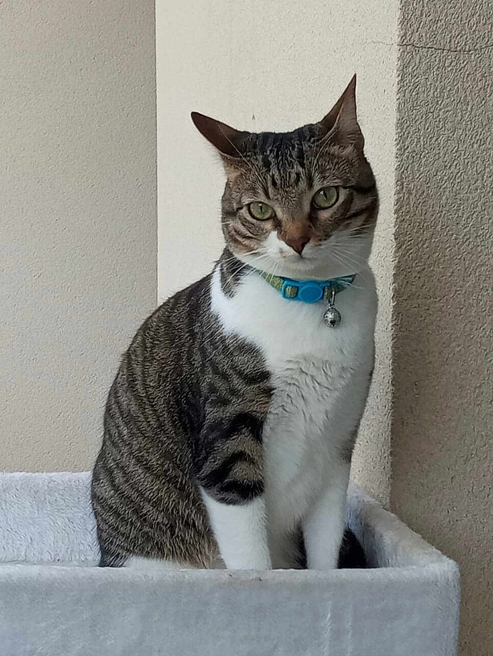 Kiki