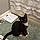 Sylvester