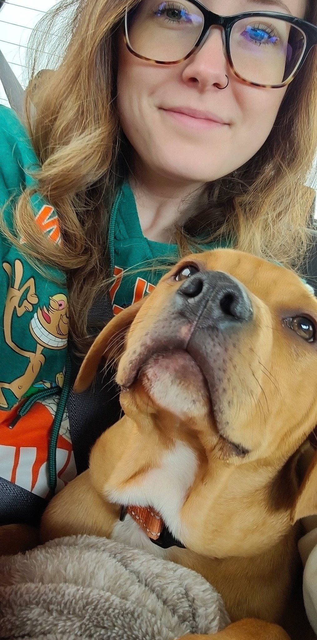 Frank joined the competition — help win amazing prizes! brown_hair, carnivore, companion_dog, dog, dog_breed, eyewear, fawn, fur, glasses, happy, photograph, selfie, skin, smile, snapshot, snout, sunglasses, vision_care, whiskers, working_animal