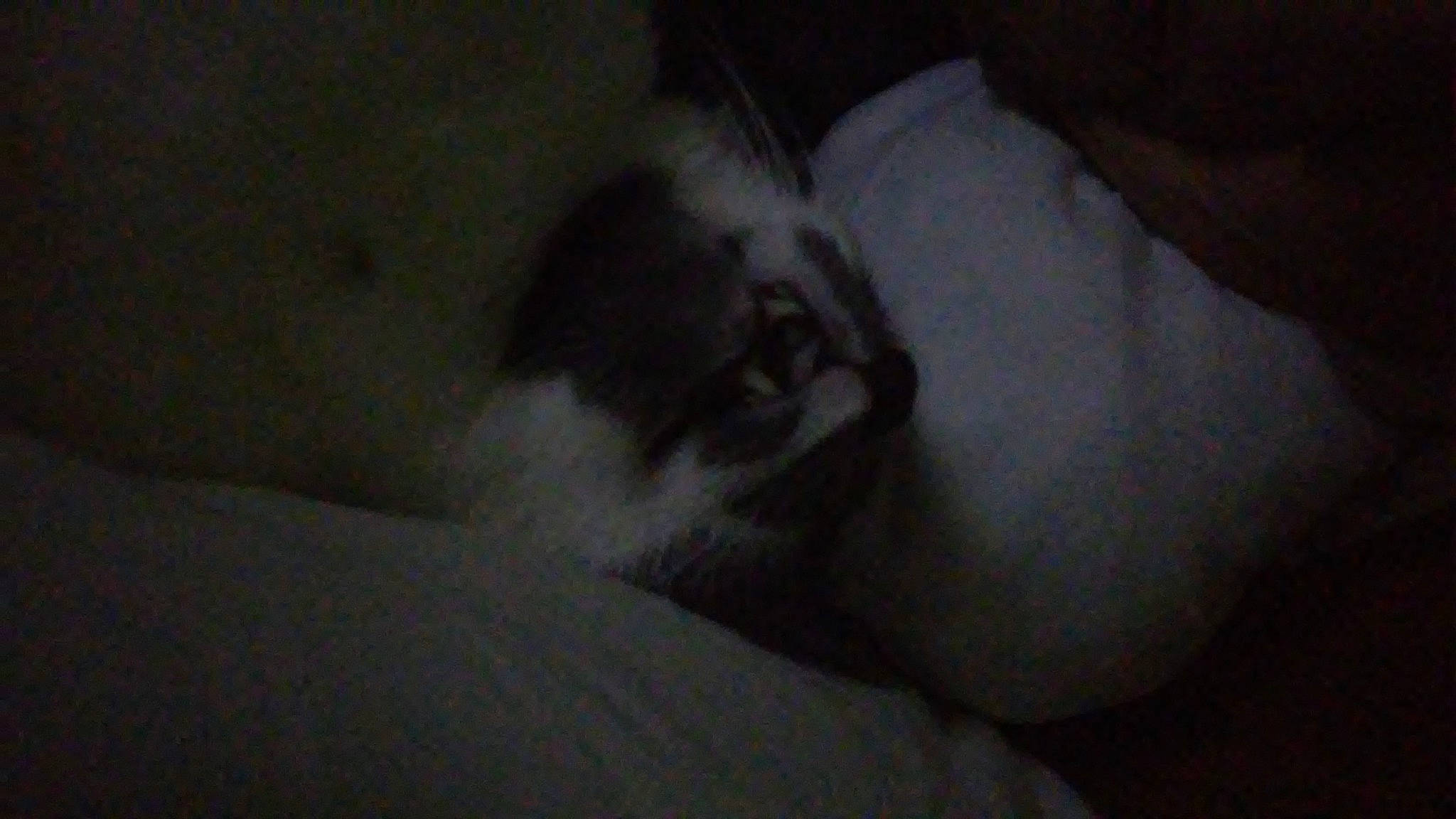 Austin is registered to the contest to win money with this photo: black, cat, ear, felidae, kitten, mouth, nap, non_sporting_group, nose, sleep, whiskers