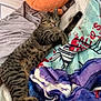 cat, tabby_cat, bed, blanket, plush, pillow, orange, striped, feline, cozy, indoor, resting, sleepy, soft, fabric, comfort, animal, pet, cute, relaxed