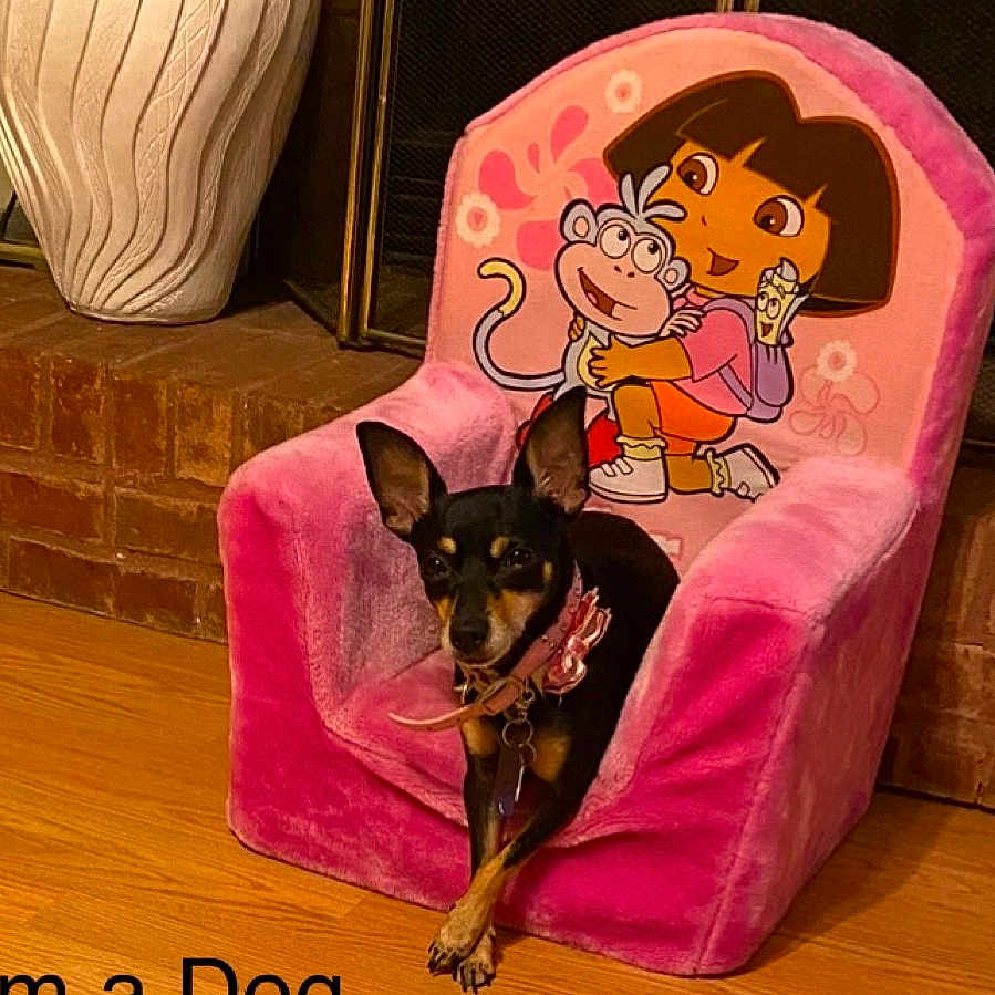 Pippa