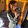 Brittani L.