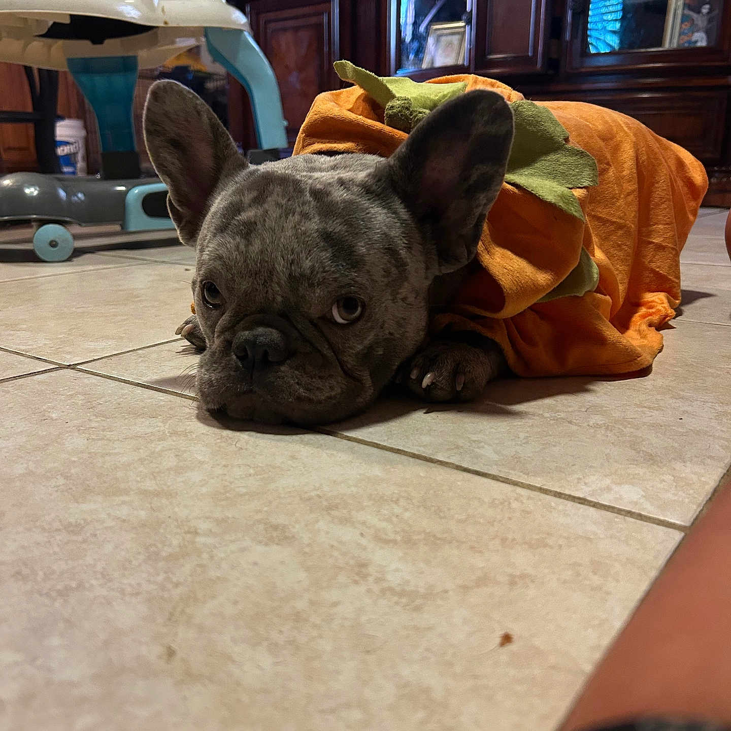 Chapo