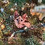 accessories, animal, canine, cat, christmas, christmasdecorations, christmastree, conifer, dog, festival, fir, husky, kitten, lighting, manx, pet, pine, plant, tree, vegetation