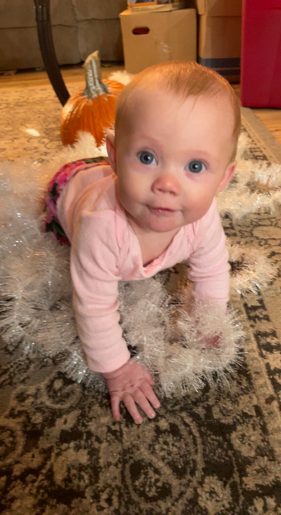 Katrina is registered to the contest to win money with this photo: baby, baby_toddler_clothing, cheek, child, fawn, floor, flooring, fun, fur, grass, hardwood, head, iris, nose, person, sitting, skin, sleeve, smile, toddler