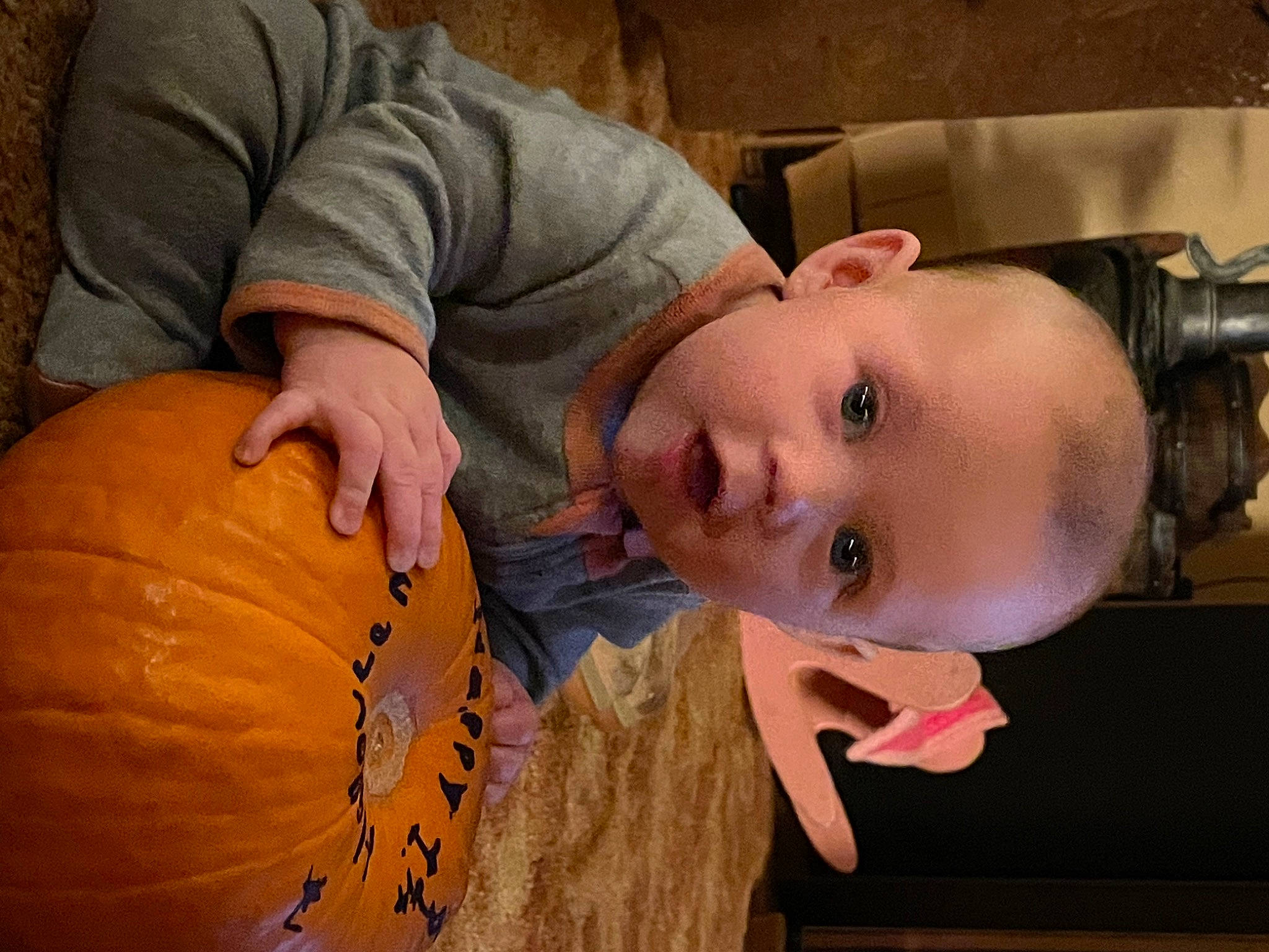 Katrina joined the competition — help win amazing prizes! art, baby, calabaza, child, comfort, cucurbita, eye, fun, gourd, head, mouth, natural_foods, nose, person, plant, pumpkin, squash, surprise, toddler, vegetable