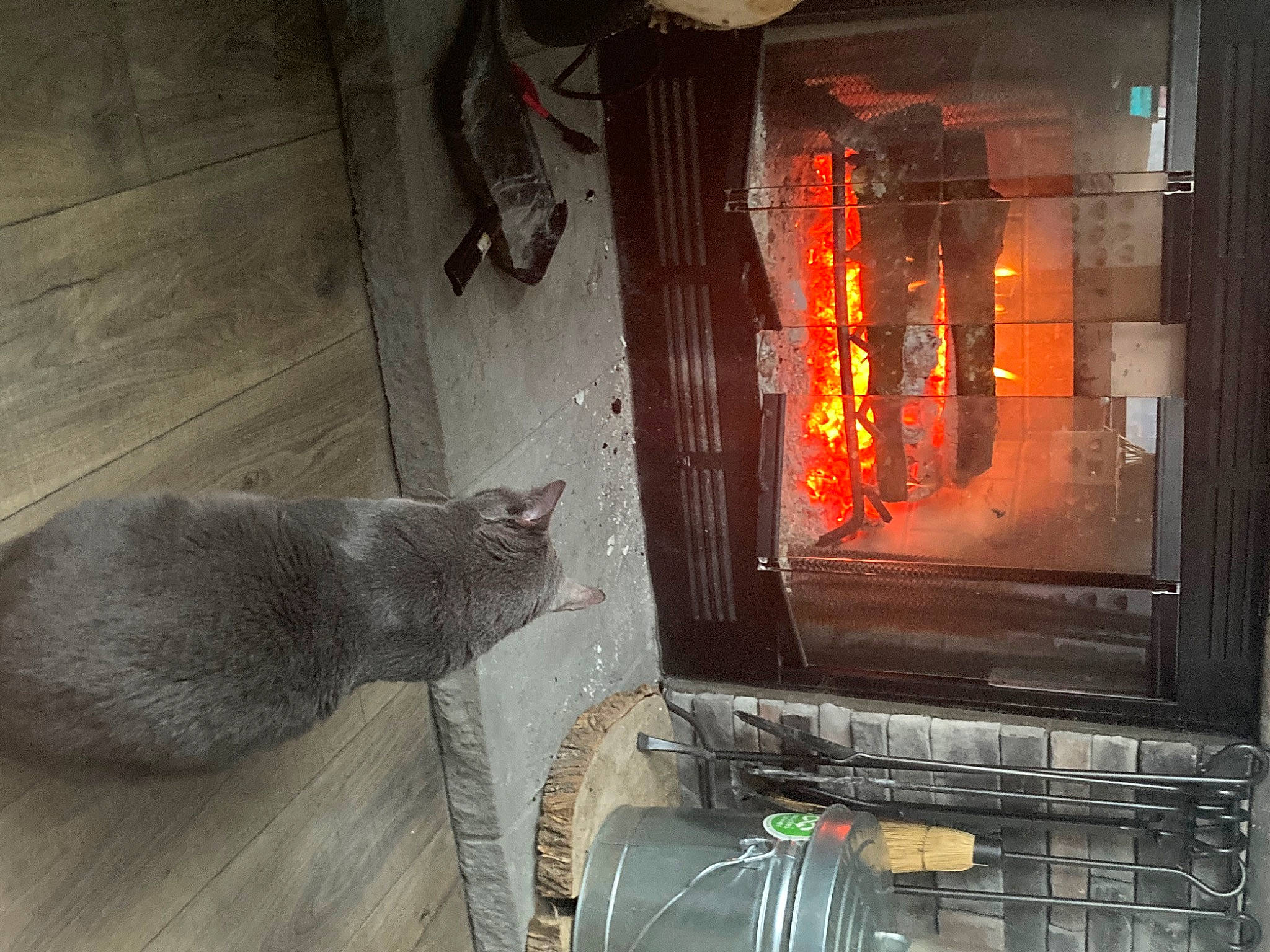 Smokey joined the competition — help win amazing prizes! carnivore, cat, domestic_short_haired_cat, felidae, fire, fire_screen, fireplace, flame, flooring, gas, hardwood, hearth, heat, small_to_medium_sized_cats, stove, tail, whiskers, window, wood, wood_burning_stove