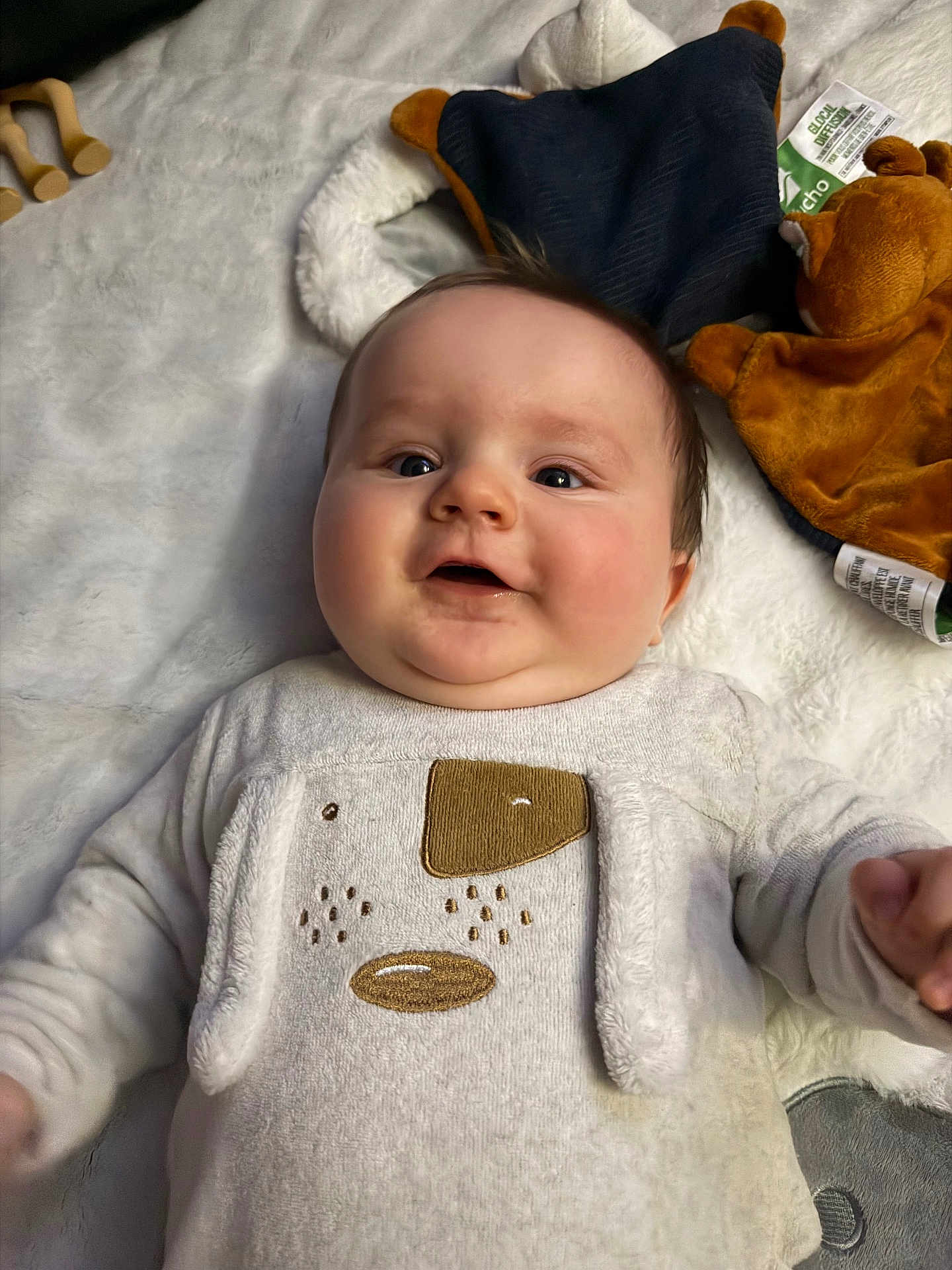 Tim participe au concours pour gagner de l'argent avec cette photo : baby, infant, smiling, face, sweater, plush_toy, blanket, soft_texture, cute, child, lying_down, indoors, cozy, closeup, happy, warm_clothing, toddler, person, adorable, comfort