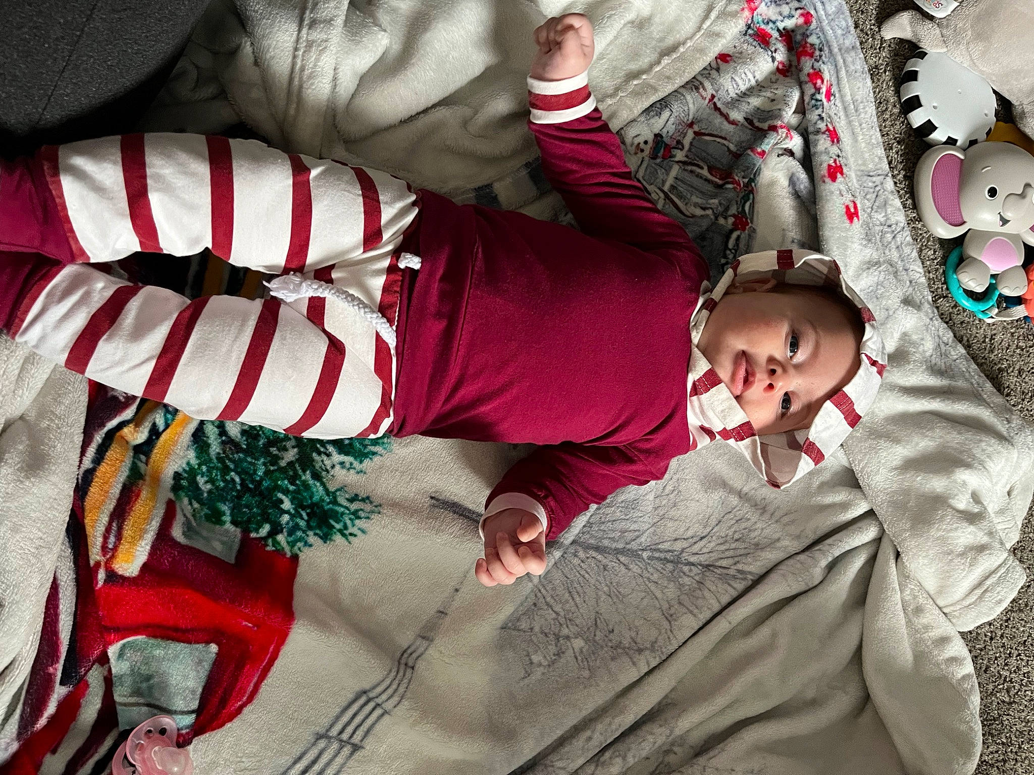 Giuliana joined the competition — help win amazing prizes! baby, carmine, christmas_eve, costume, event, fashion, fictional_character, fun, happy, holiday, human_body, leg, linens, person, plant, santa_claus, textile, toddler, tradition, tree