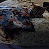 cat, bed, blanket, sleeping, tabby, indoor, cozy, furniture, pattern, animal, resting, domestic, pet, soft, fabric, quiet, cute, comfort, home, relax