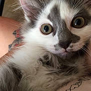 Peach participe au concours pour gagner de l'argent avec cette photo :