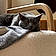 Berlioz