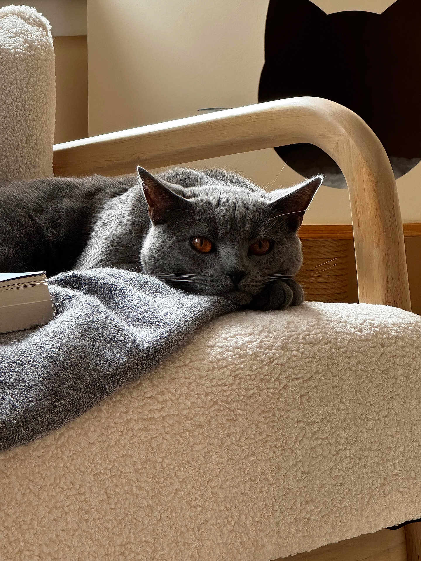 Berlioz