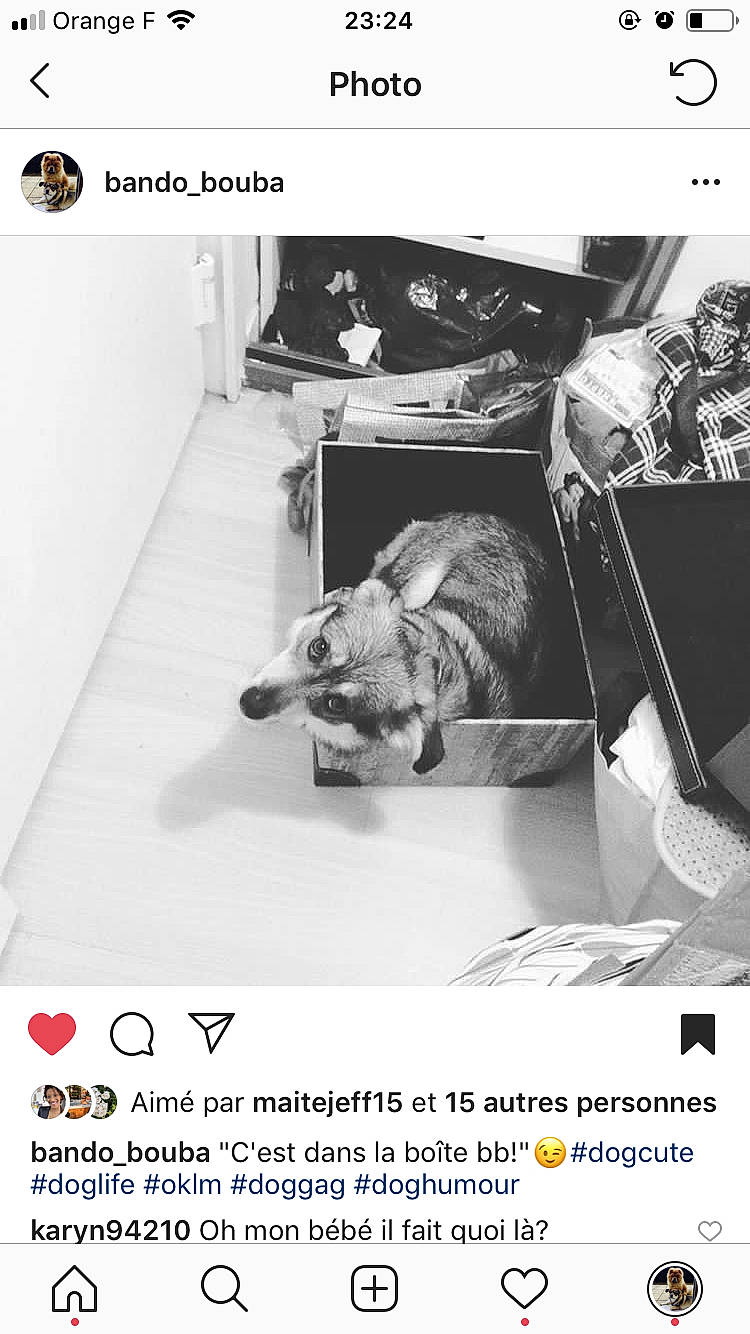 Bando a rejoint le concours — aidez-le/la à gagner de superbes lots ! photo_caption, photography