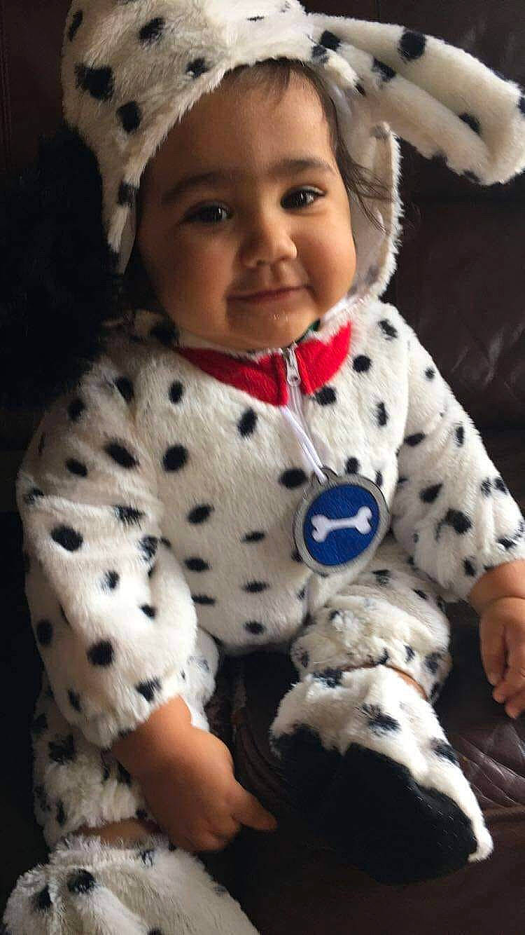 Reina joined the competition — help win amazing prizes! baby, canidae, child, dalmatian, dog, dog_breed, fur, non_sporting_group, person, plush, puppy, toddler