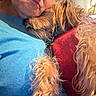 person, dog, indoor, close_up, snuggling, red_sweater, blue_shirt, curly_hair, pet, affection, face, fur, window, lamp, warm_light, texture, cozy, candid, home, companion