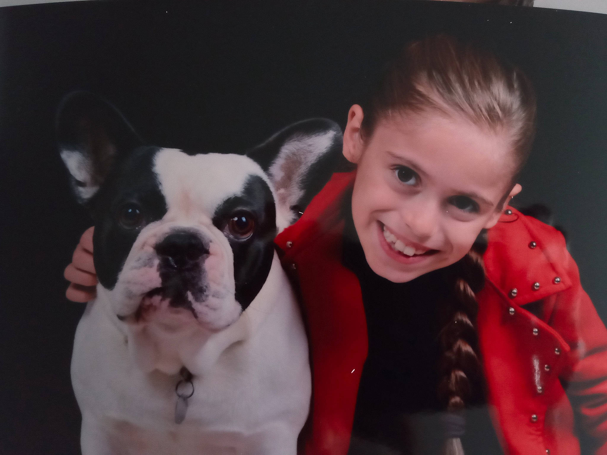 Aurélia participe au concours pour gagner de l'argent avec cette photo : american_bulldog, boston_terrier, bulldog, canidae, carnivore, cheek, companion_dog, dog, dog_breed, ear, french_bulldog, head, joy, mammal, non_sporting_group, nose, olde_english_bulldogge, person, puppy_love, skin