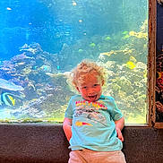 Ryder is registered to the contest to win money with this photo: child, curly_hair, blue_tshirt, aquarium, fish, coral, playful, tongue_out, underwater, marine_life, tank, rocks, casual_clothing, light, smile, person, indoor, fun, young, pose