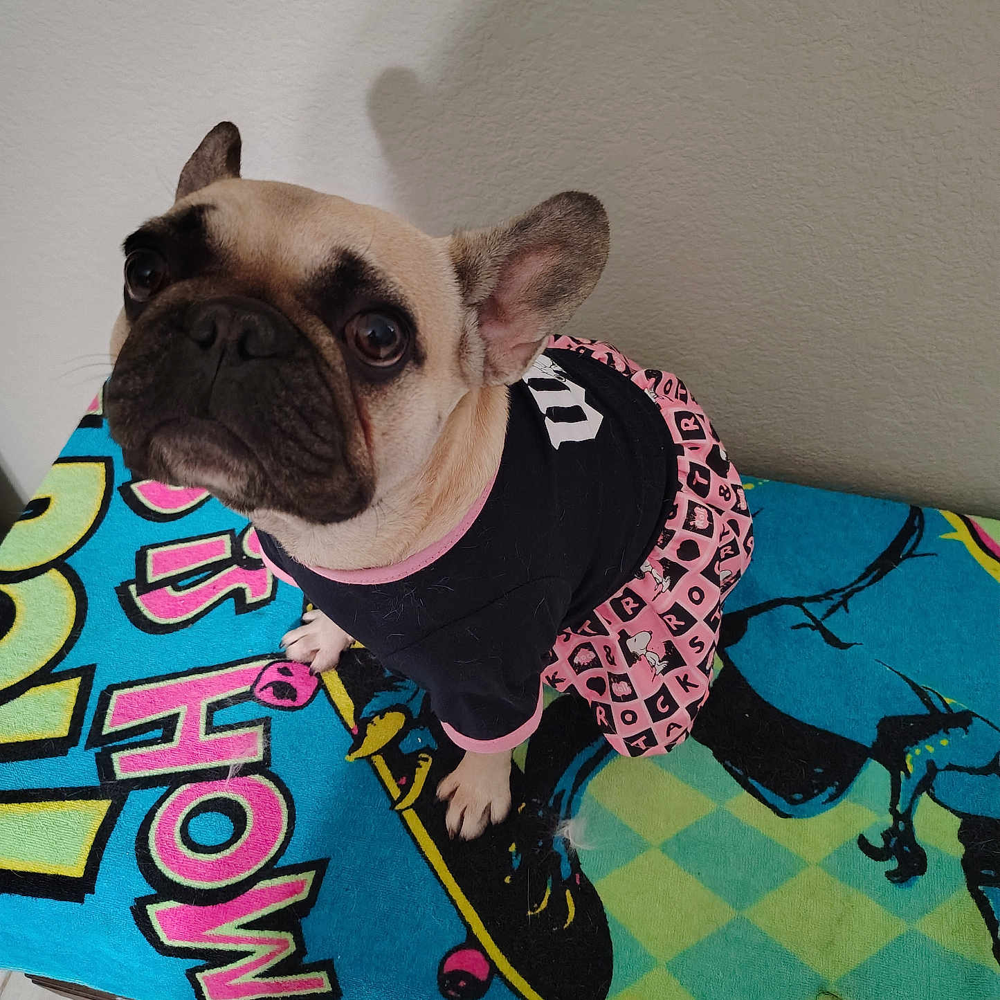 Roxie