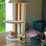 basket, candle, cat, cat_tree, cozy, curtains, cushion, daylight, floor, furniture, glass_table, home, indoor, light, pet, quiet, reflection, relaxing, stacked_items, window