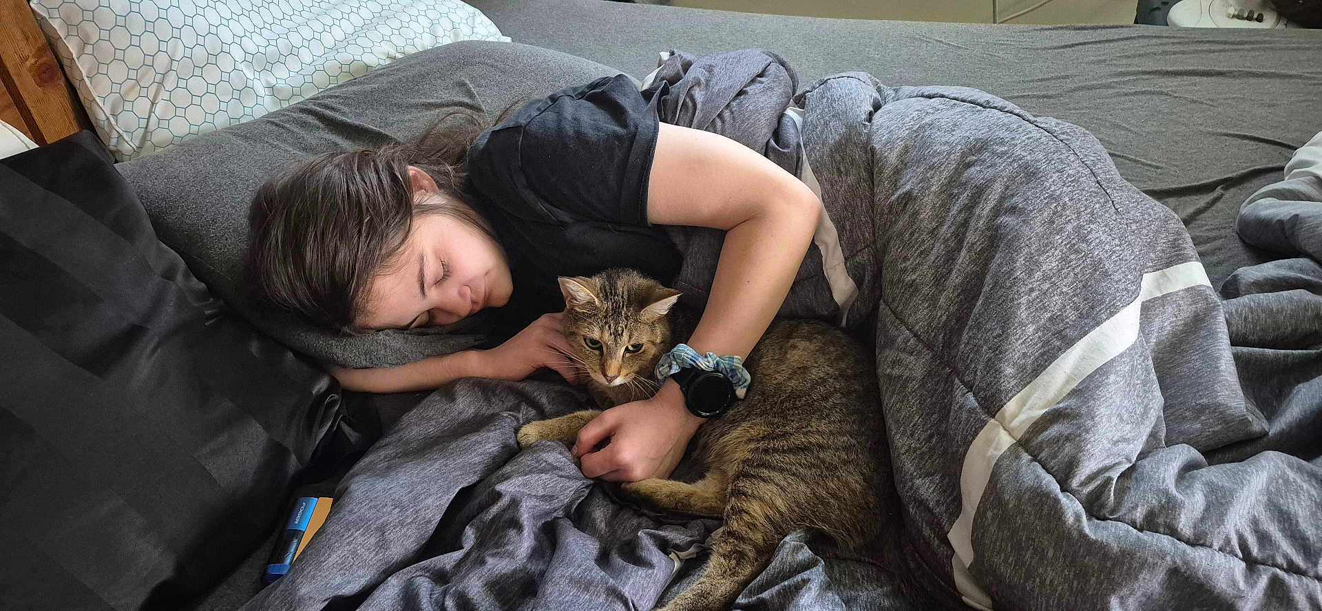 Olga is registered to the contest to win money with this photo: person, cat, bed, blanket, pillow, sleeping, snuggling, indoor, cozy, gray, tabby_cat, comfort, resting, casual, scrunchie, watch, hair, face, hand, soft