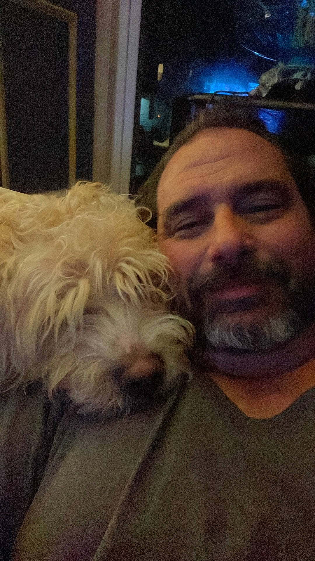 Roady is registered to the contest to win money with this photo: beard, carnivore, companion_dog, dog, dog_breed, ear, eyewear, facial_hair, fun, fur, hat, moustache, nose, selfie, small_terrier, sporting_group, t_shirt, terrier, toy_dog, wrinkle