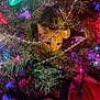 animal, cat, christmas_tree, closeup, colorful_lights, curious, decorations, eye_contact, festive, festive_decor, garland, greenery, hiding, holiday_lights, holiday_season, indoors, ornaments, pet, pine_needles, playful