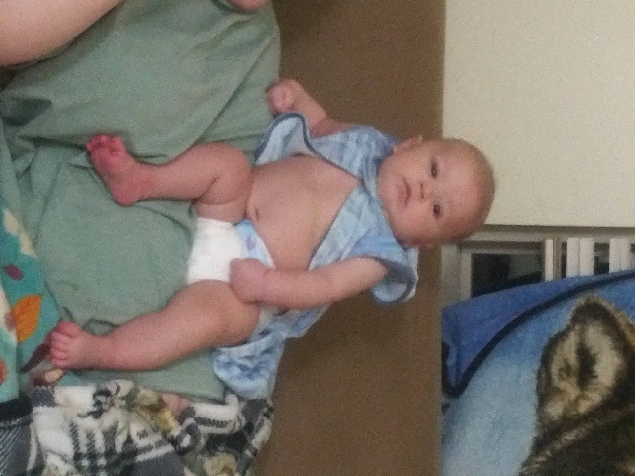 Damion is registered to the contest to win money with this photo: abdomen, baby, baby_products, baby_toddler_clothing, chest, child, comfort, diaper, elbow, fun, human_leg, lap, mouth, pattern, person, room, stomach, thigh, thumb, toddler