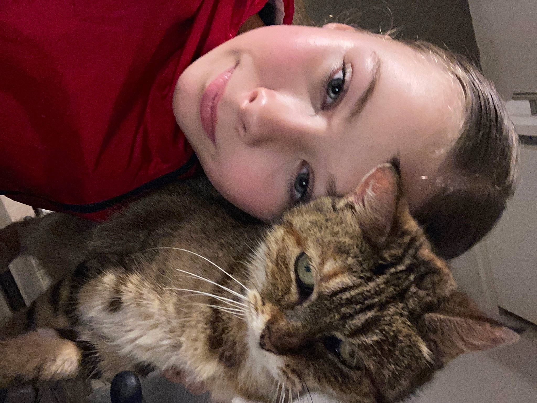 Paya a rejoint le concours — aidez-le/la à gagner de superbes lots ! carnivore, cat, child, claw, comfort, domestic_short_haired_cat, ear, eye, eyelash, felidae, flash_photography, fur, hug, iris, nap, nose, paw, small_to_medium_sized_cats, snout, whiskers