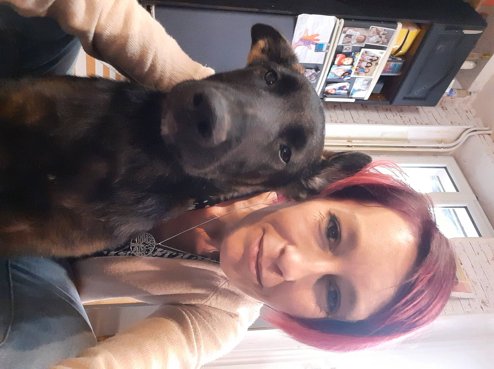 Max participe au concours pour gagner de l'argent avec cette photo : black_hair, carnivore, comfort, companion_dog, dog, dog_breed, ear, eyelash, fun, fur, gesture, happy, jaw, mouth, nose, photograph, selfie, smile, snout, working_animal