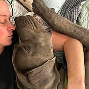 Drax joined the competition — help win amazing prizes! animal, bed, bedroom, blanket, closeup, cuddling, dog, funny, gray_coat, human, indoors, lying_down, person, pet, pillow, pit_bull, portrait, relaxed, sleeping, wrinkled