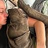 animal, bed, bedroom, blanket, closeup, cuddling, dog, funny, gray_coat, human, indoors, lying_down, person, pet, pillow, pit_bull, portrait, relaxed, sleeping, wrinkled