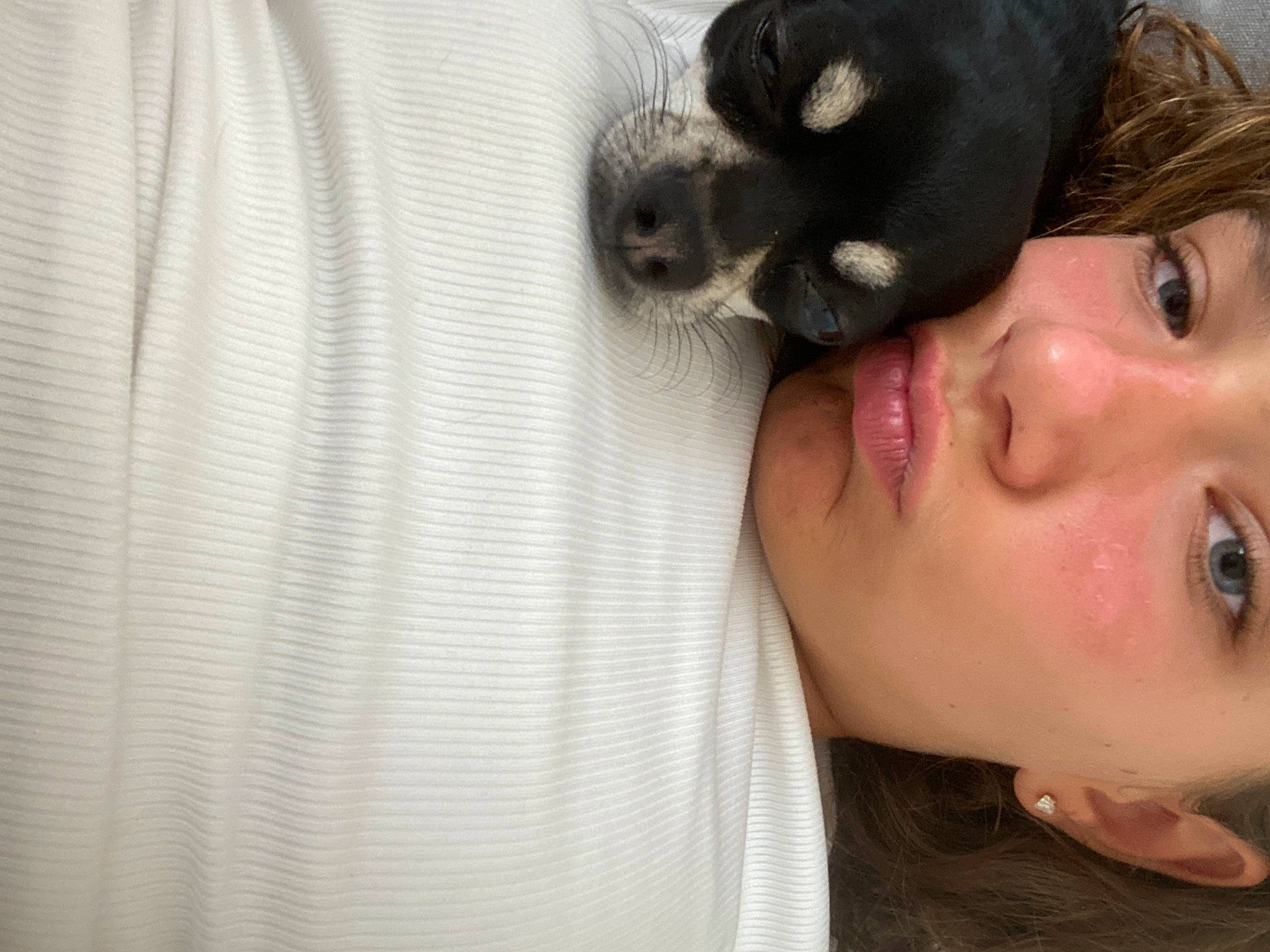 Leanna a rejoint le concours — aidez-le/la à gagner de superbes lots ! bangs, carnivore, comfort, companion_dog, dog_breed, ear, eye, eyelash, eyewear, fawn, happy, jaw, lip, nose, person, plant, selfie, snout, sunglasses, tree