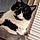 Castiel