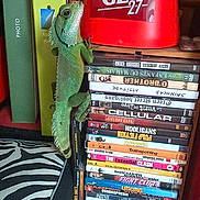 Leon a rejoint le concours — aidez-le/la à gagner de superbes lots !