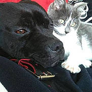 Leoule a rejoint le concours — aidez-le/la à gagner de superbes lots !