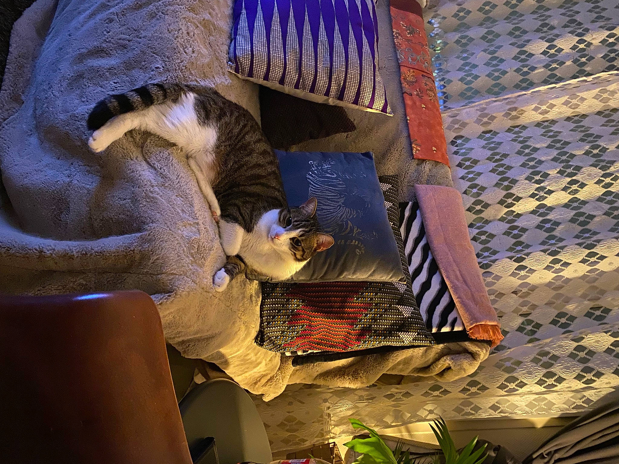 Aby a rejoint le concours — aidez-le/la à gagner de superbes lots ! art, artisan, electric_blue, houseplant, light, machine, metal, night, pattern, plant, room, sitting, space, thread, tints_and_shades, visual_arts, weaving, wood, world