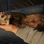 Anaé a rejoint le concours — aidez-le/la à gagner de superbes lots !